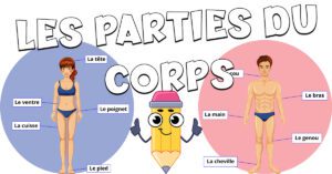 Lee más sobre el artículo Las partes del cuerpo